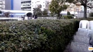 精品国语视频免费播放